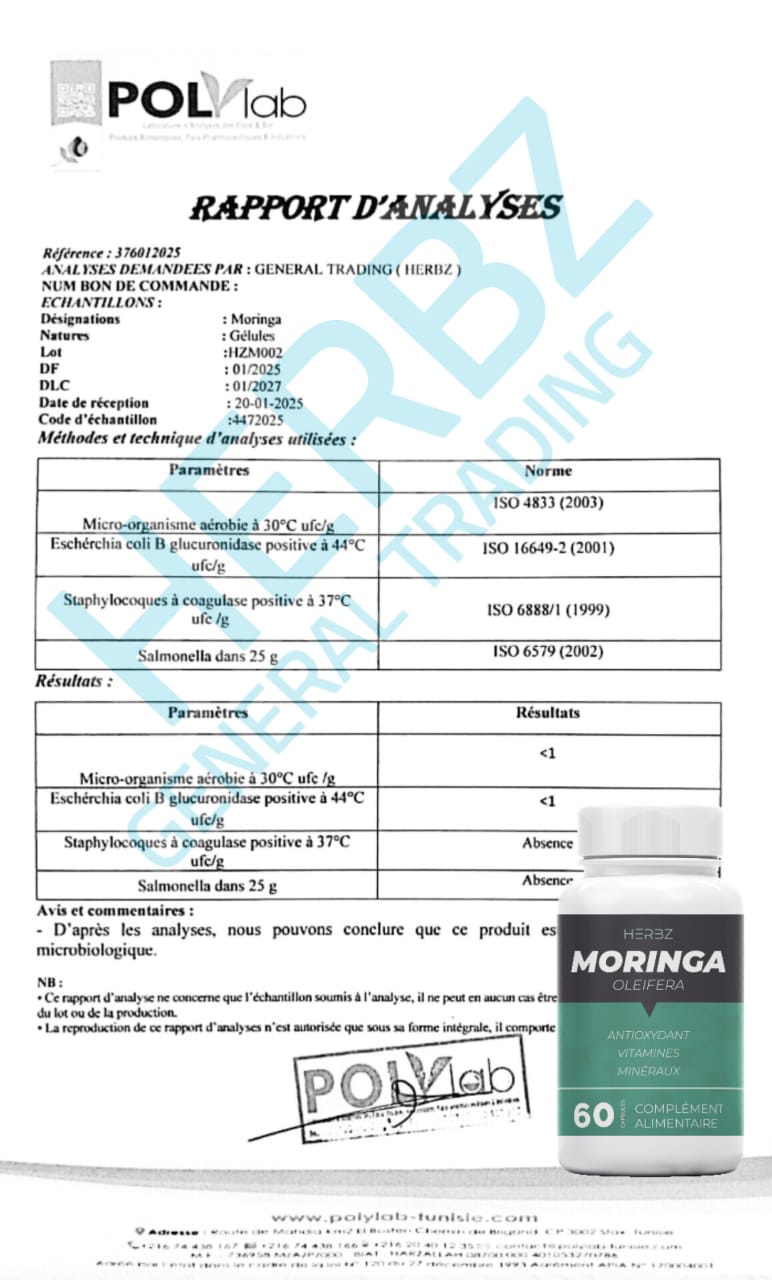 Gélules de Moringa Oleifera HERBZ - Antioxydant Naturel, Riches en Vitamines et Minéraux - 60 Capsules - Fabriqué en Tunisie