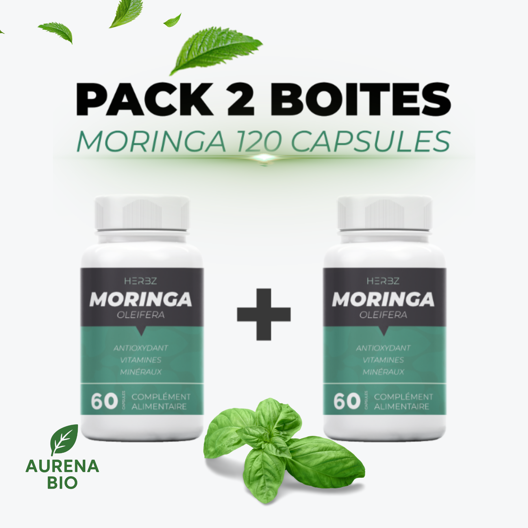Moringa Oleifera HERBZ - Tonique Masculin Naturel - Vitalité & Performance - Pack de 2 Boîtes (120 Gélules) - Fabriqué en Tunisie