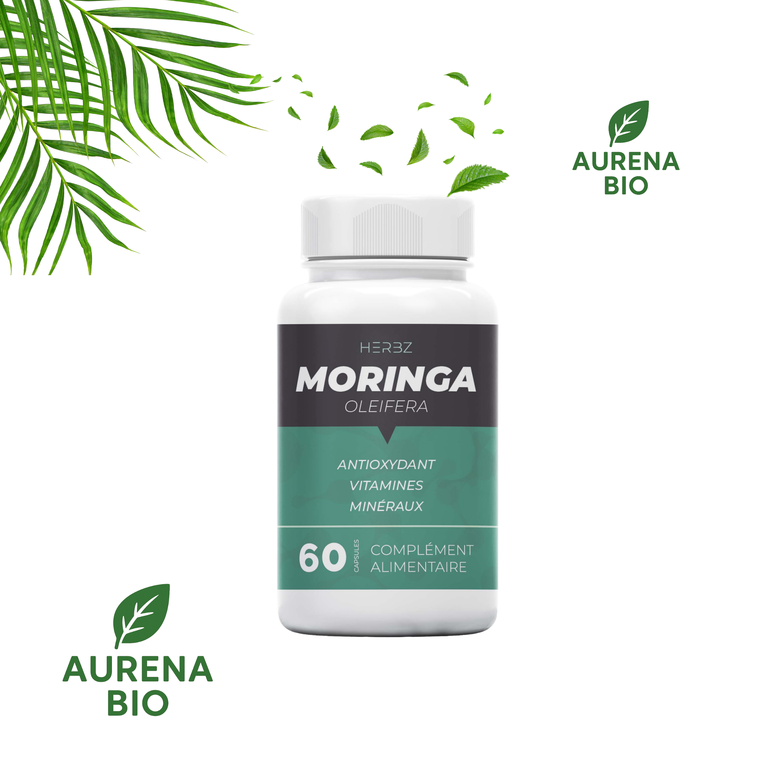 Gélules de Moringa Oleifera HERBZ - Antioxydant Naturel, Riches en Vitamines et Minéraux - 60 Capsules - Fabriqué en Tunisie